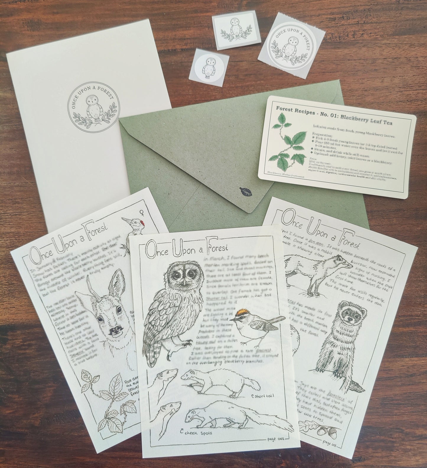 Forest Diary Pages: Winter & Early Spring
