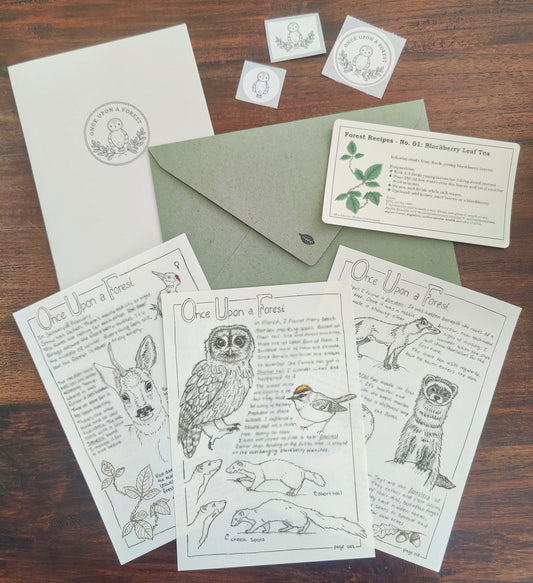 Forest Diary Pages: Winter & Early Spring